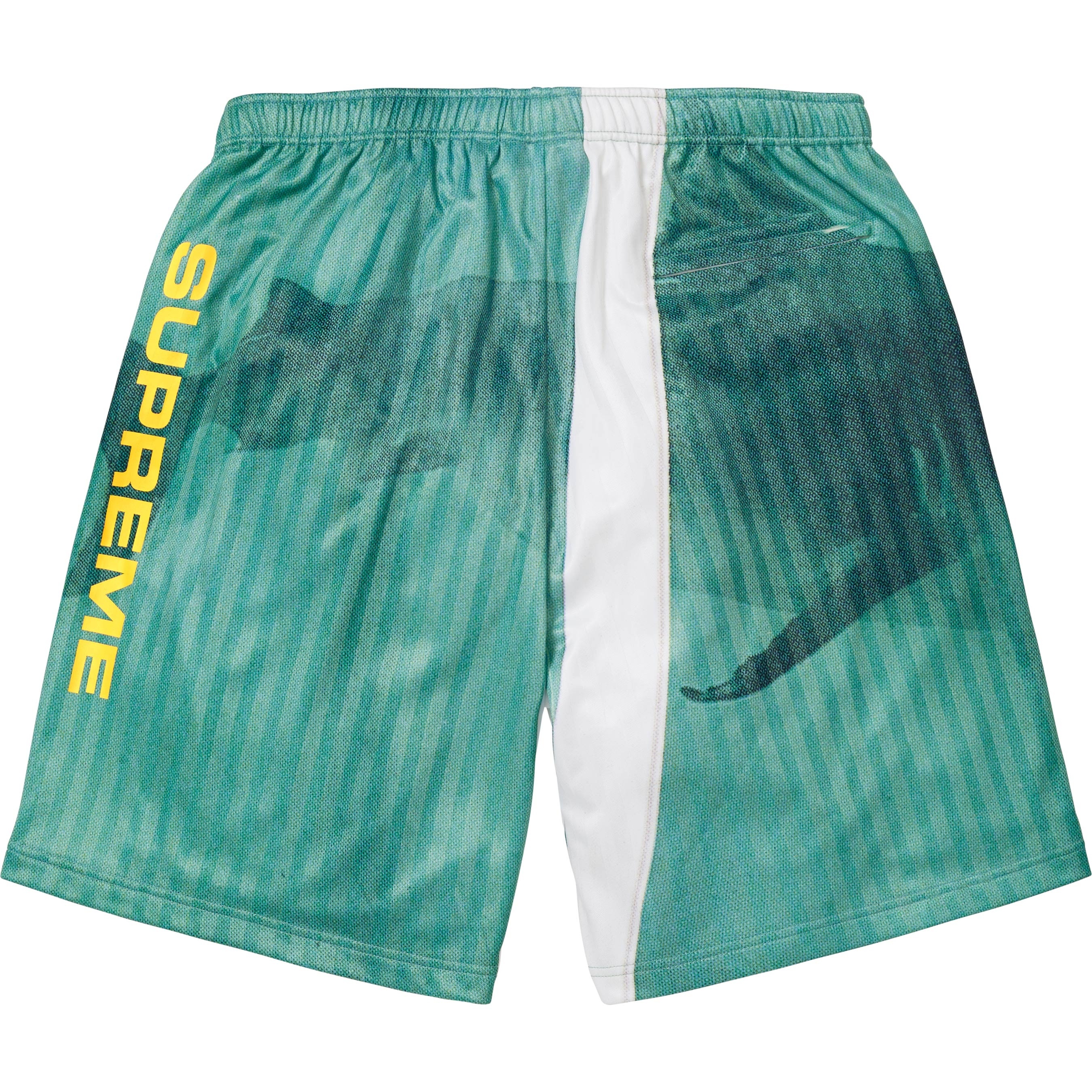 Supreme/Damien Hirst Soccer Short view 7